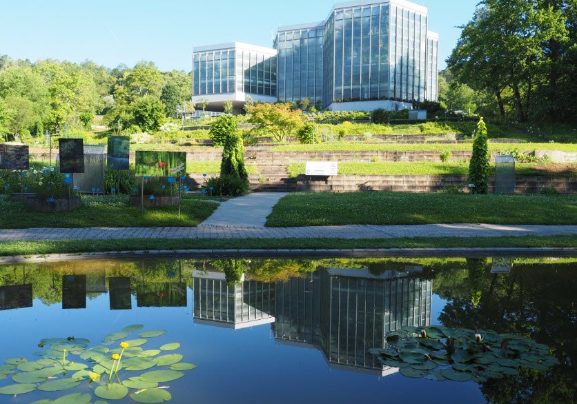 Botanischer Garten der Universität Tübingen, Germany